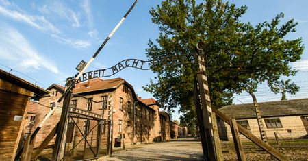 Muzeum Auschwitz. Nowy serwis ujawni dane o ofiarach i transportach