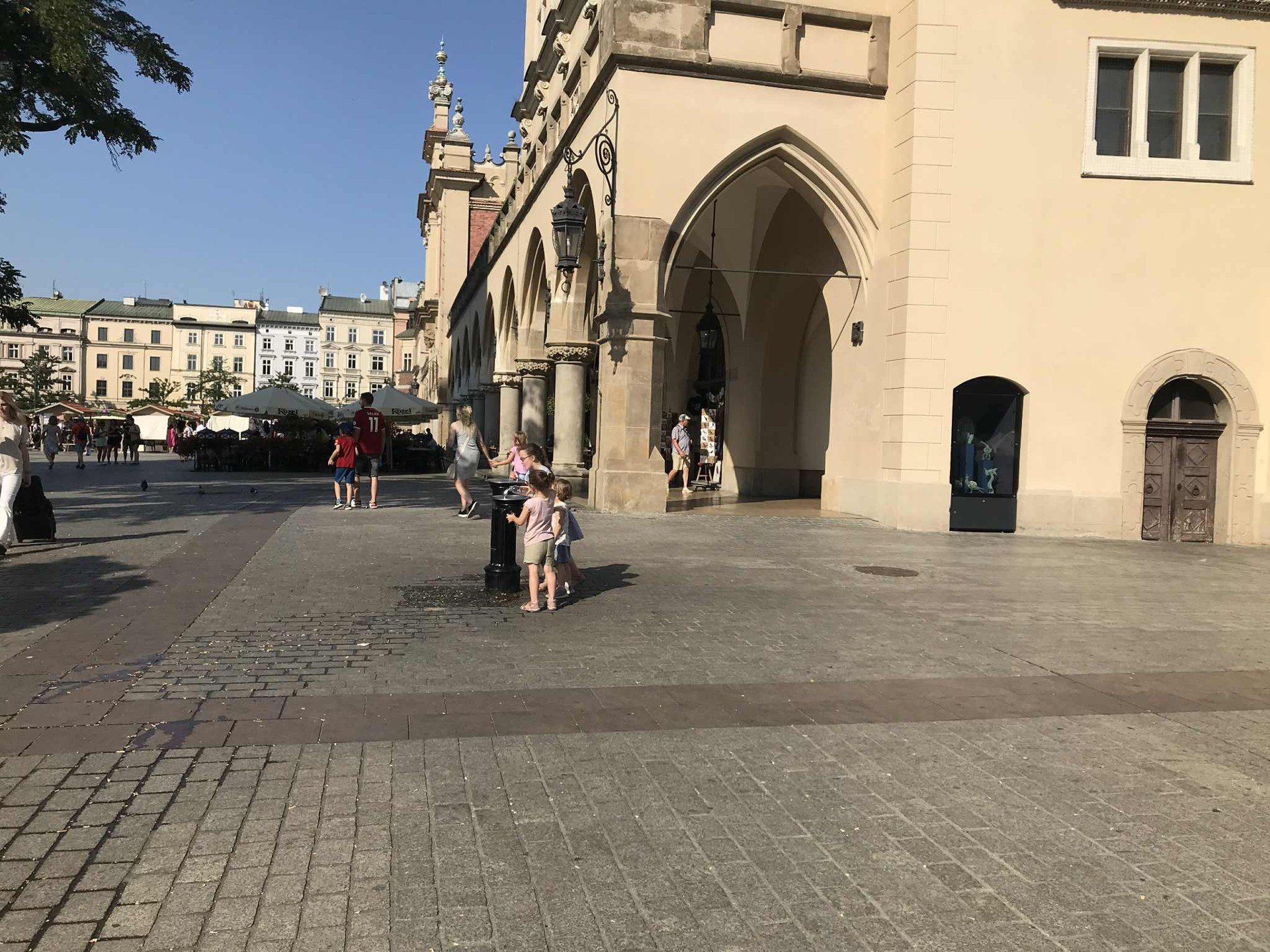 Zraszacze dają nieco ochłody w gorące dni