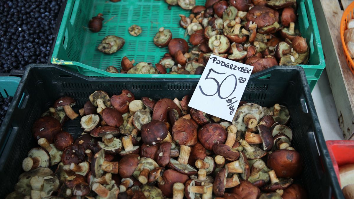 Ceny grzybów w Krakowie
