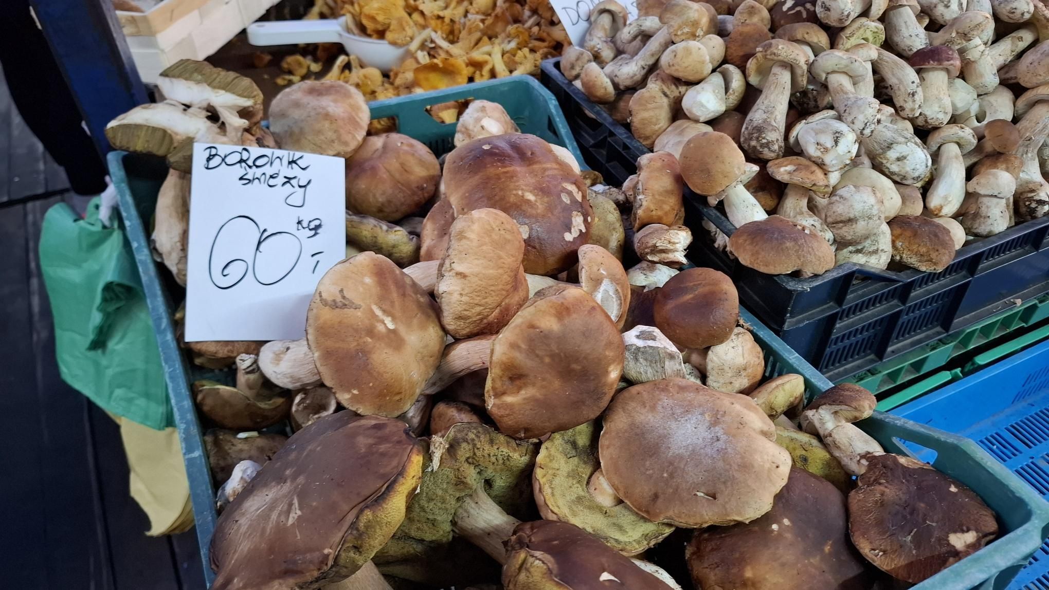 Ceny grzybów na Starym Kleparzu w Krakowie