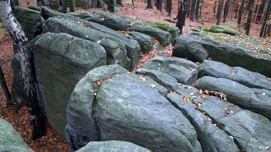 Formacje skalne na szczycie Bukowej Góry, Góry Świętokrzyskie