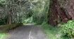 Old Pali Road - najbardziej nawiedzona droga świata
