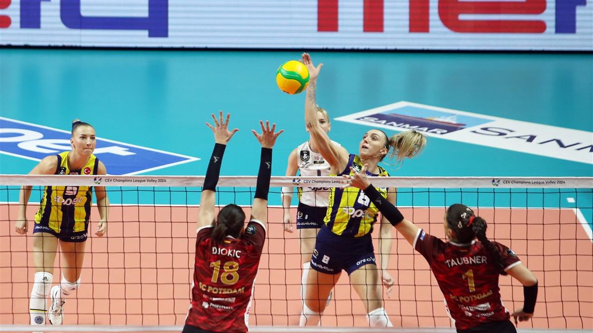 Materiały prasowe / CEV / Mecz Ligi Mistrzyń: Fenerbahce Stambuł - SC Potsdam