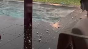 Grad wielkości kurzych jajek! Zniszczony dom i samochód gwiazdy F1