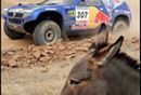 29. Rajd Dakar: Sainz wygrał drugi etap