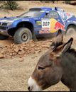 29. Rajd Dakar: Sainz wygrał drugi etap