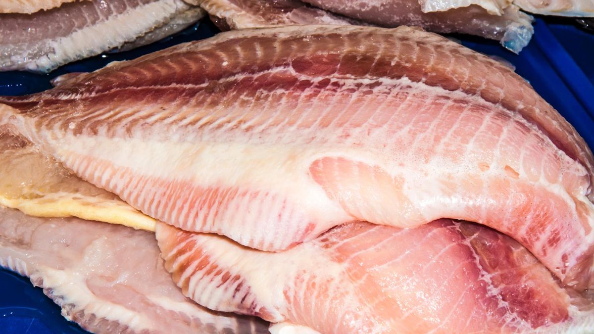 Niektóre ryby, mimo swojej popularności, mogą nie być najlepszym wyborem ze względu na potencjalne zagrożenia zdrowotne