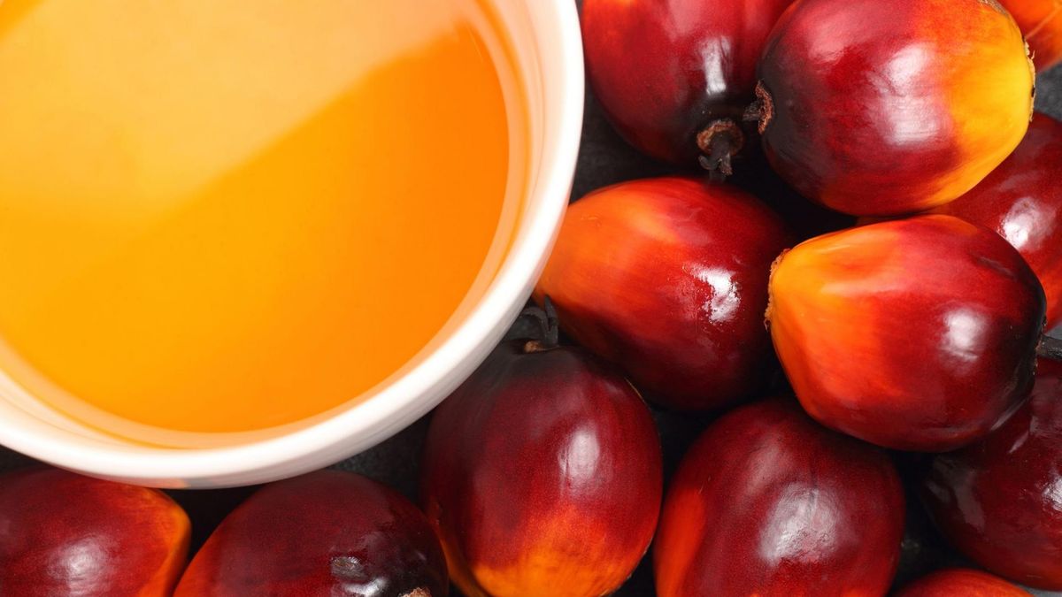 Olej palmowy jest jednym z najczęściej używanych olejów roślinnych na świecie
