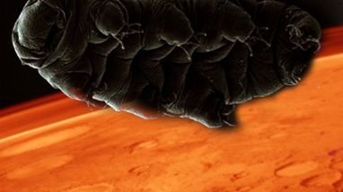 Czy niechcący skolonizowaliśmy już Marsa? 1