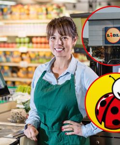 Gdzie najlepiej pracować w handlu w 2025 roku? Porównanie Żabki, Biedronki, Lidla i Dino