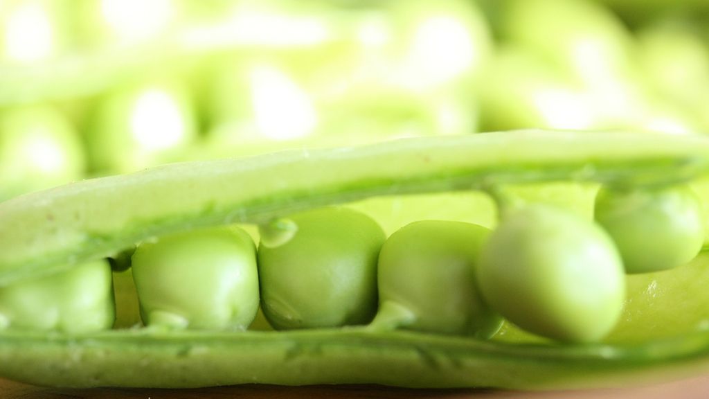 Mrożony zielony groszek w jadalnych strąkach