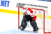 Hokej: Mistrzostwa świata - Czechy 2024 - mecz: Niemcy - Polska
