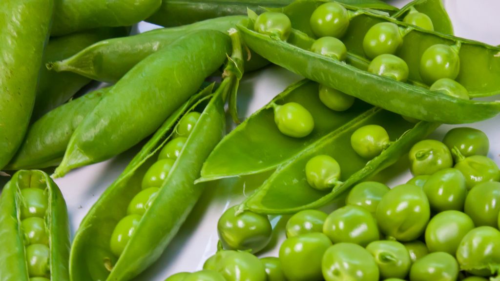 Gotowany mrożony zielony groszek w jadalnych strąkach bez dodatku soli, odsączony