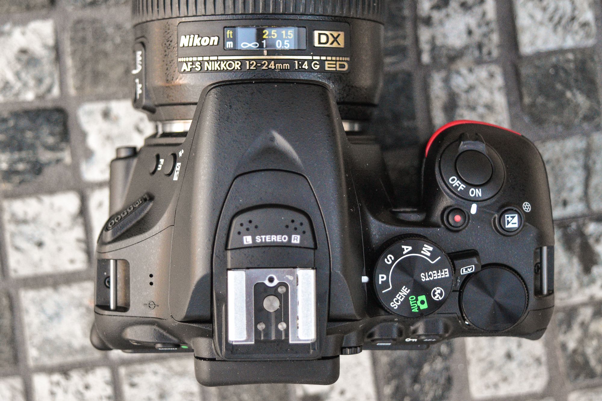 Nikon D5500 - pierwsze wrażenia i przykładowe zdjęcia z Tajlandii 5