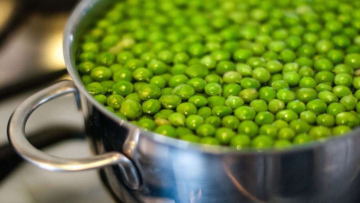 Gotowany zielony groszek bez dodatku soli, odsączony