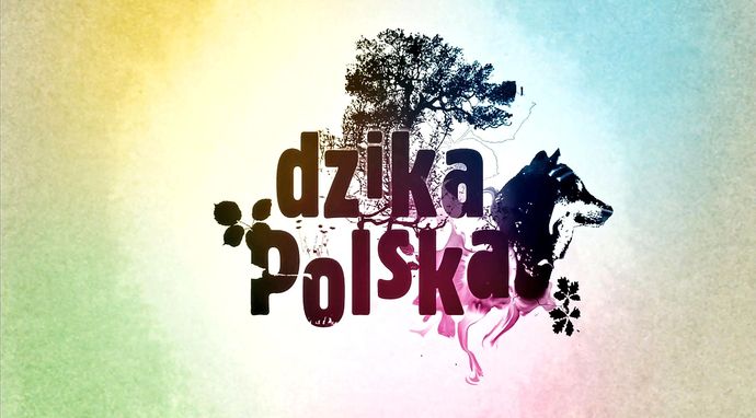 Dzika Polska