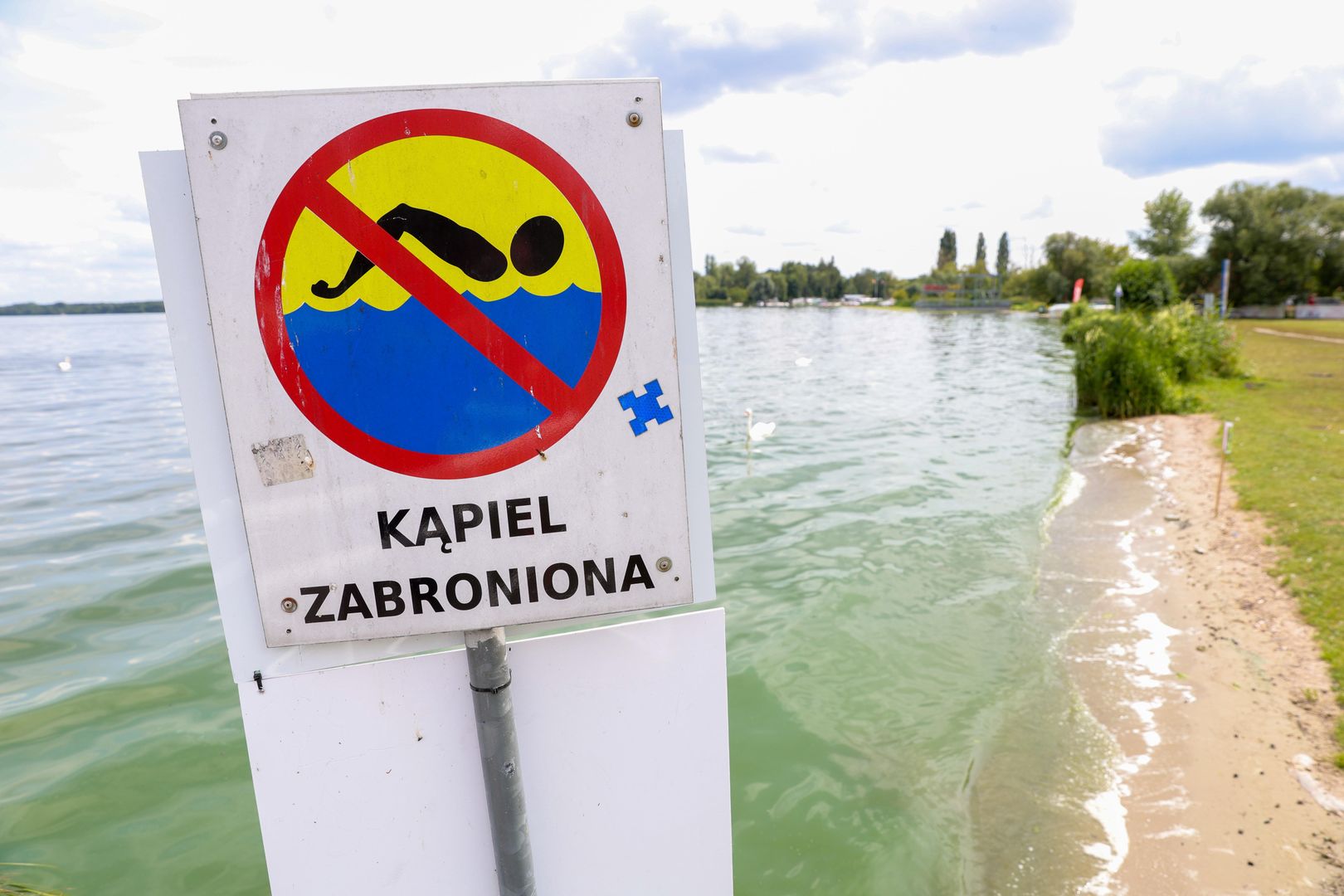 Plaża w Nieporęcie, 26 bm. W jeziorze Zegrzyńskim zakwitły sinice