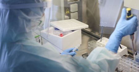 Koronawirus w Polsce. Ministerstwo Zdrowia podało najnowsze dane