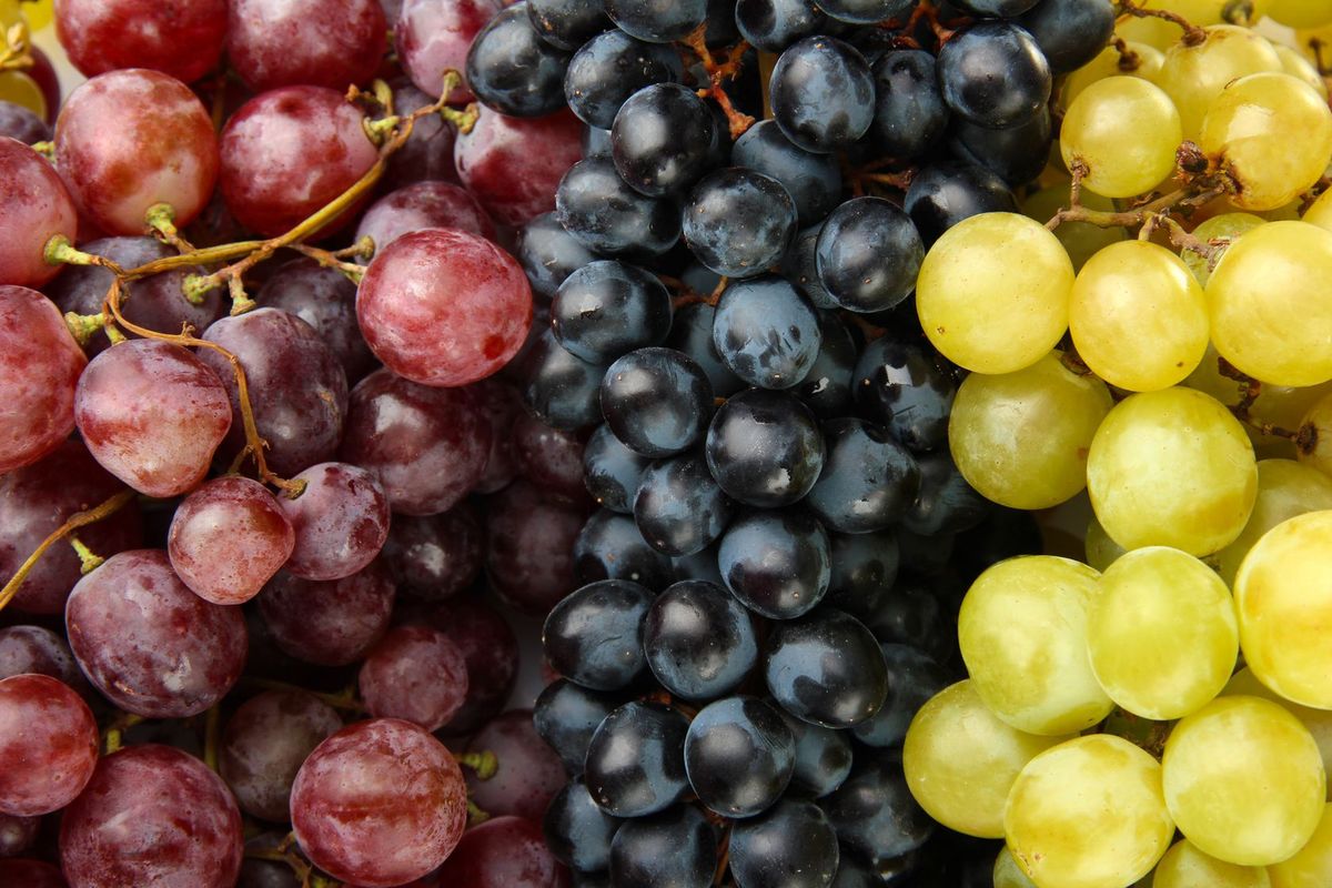 Winogrona - kalorie, właściwości, wartości odżywcze