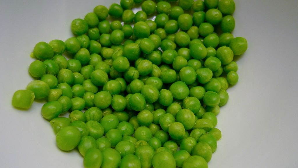 Zielony groszek w puszce, odsączony