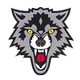 Wolfe Wittstock