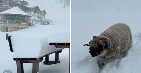 Austria pod śniegiem. Lawiny blokują drogi, wstrzymano ruch pociągów