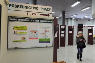 Więcej ofert pracy. Także w pośredniakach
