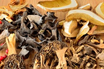 To najlepsze grzyby do suszenia. Mają świetny aromat i skoncentrowany smak