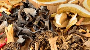 To najlepsze grzyby do suszenia. Mają świetny aromat i skoncentrowany smak