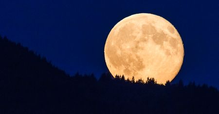 Kwiatowa Pełnia Księżyca. Niezwykłe zjawisko na niebie