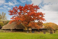 Chorzów. Śląsk to nie tylko węgiel i przemysł, zadbają o jego wiejskie dziedzictwo