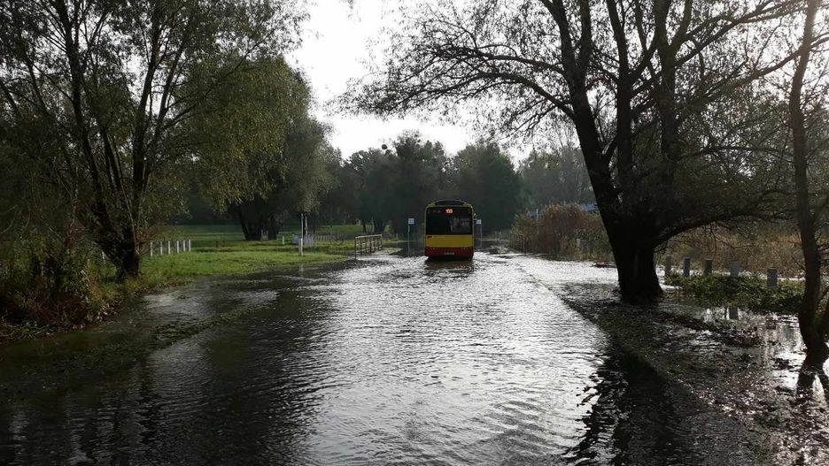 Wrocław. Ul. Starodworska zalana. Została zamknięta dla kierowców