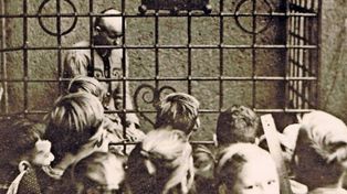 Zakochała się w Polaku. Naziści potwornie ją upokorzyli