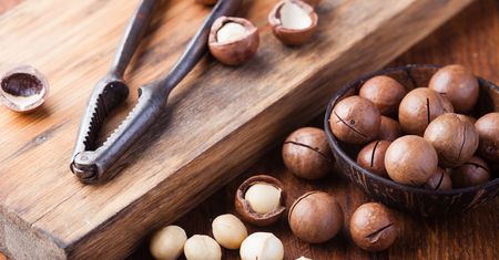 Makadamia – właściwości, wartości odżywcze, kalorie, zastosowanie