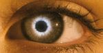 ''The Host'': Pierwszy teaser ekranizacji prozy Stephenie Meyer [wideo]
