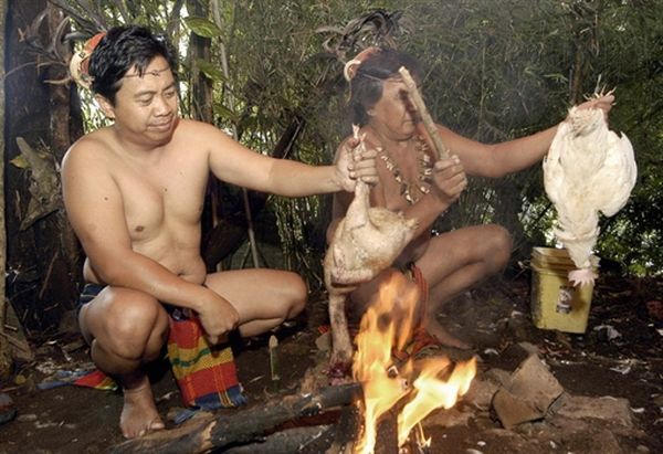 Malaje - znikający penis