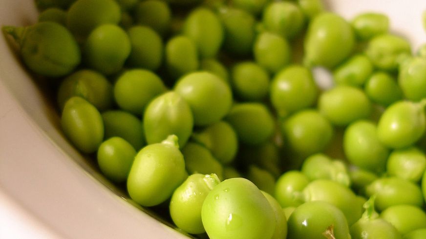 Zielony groszek w puszce, odsączony i opłukany wodą