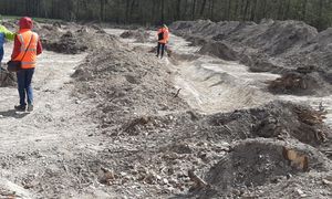 Archeologiczne odkrycie w Toruniu. Pochodzą z 1414 r.