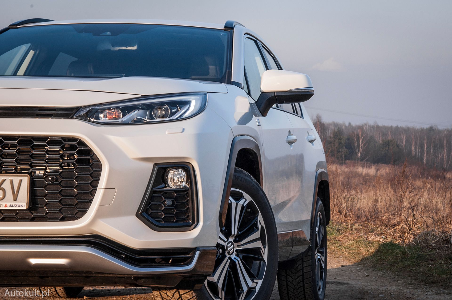 Suzuki Across PHEV (2021)