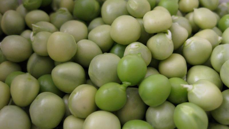 Gotowany mrożony zielony groszek bez dodatku soli, odsączony