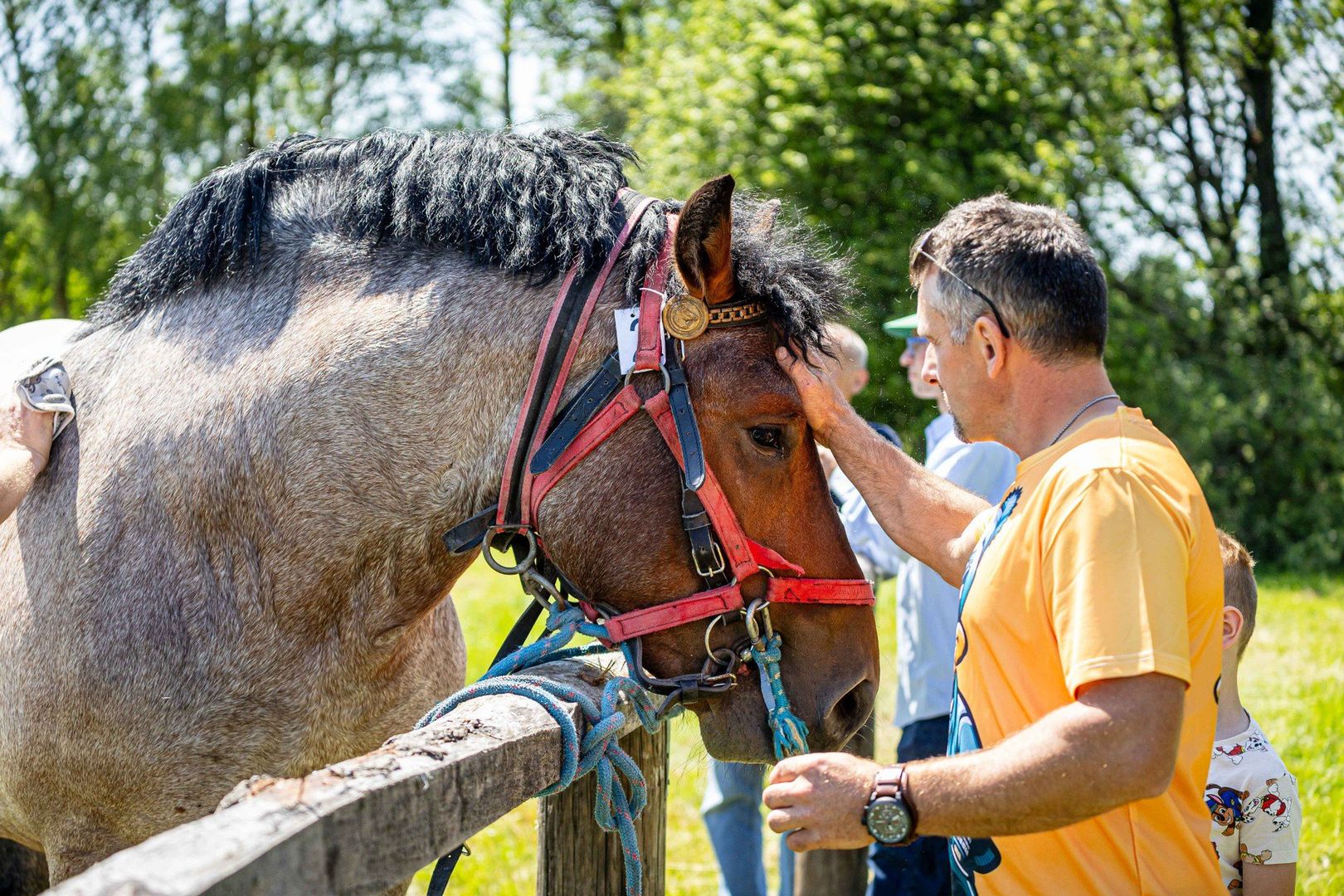 Podlaska Wystawa Koni Hodowlanych