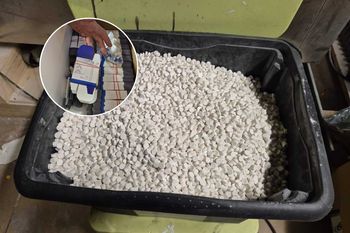 Produkowali nielegalne sterydy i podrabiane leki. 12 osób zatrzymanych