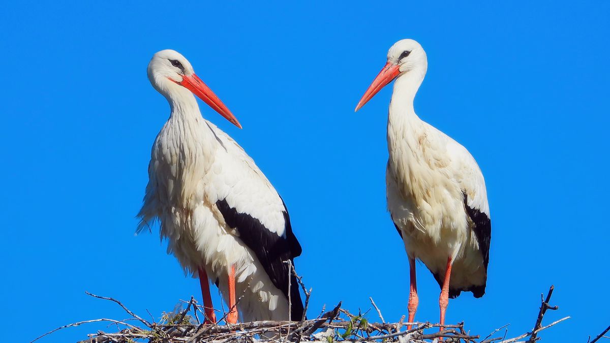 Krzyżówka z wiedzy ogólnej