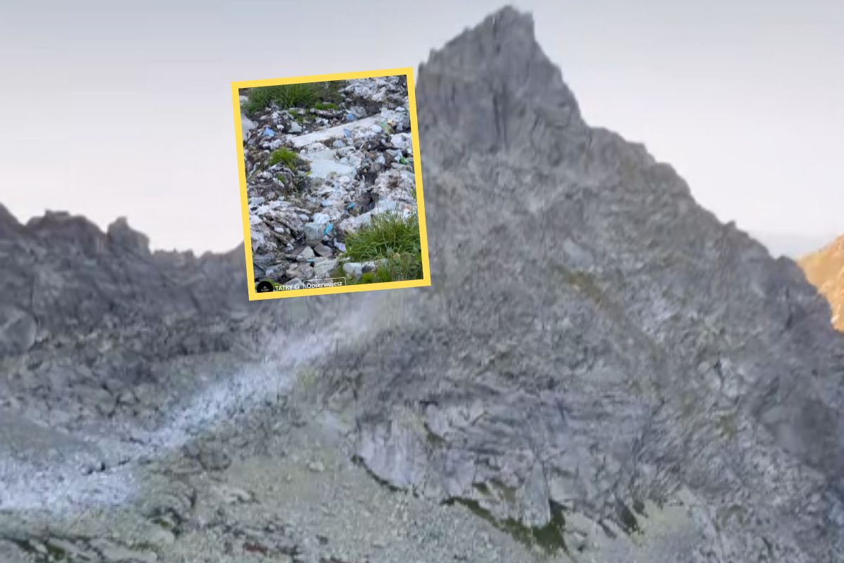 Taki widok pod Rysami. W sieci zawrzało. "Powinni być karani"