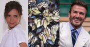 David Beckham romantycznie porównuje stopy Victorii do... MORSKIEGO SKORUPIAKA. Widzicie podobieństwo? (FOTO)