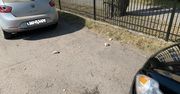 Policjanci Zatrzymali Mężczyznę Rzucającego Cegłami w Zaparkowany Samochód