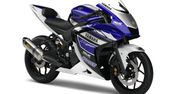 "Maluch" Yamahy: R25 na 2014 rok