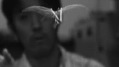 Niesamowity lot robo-motyla (wideo) 1