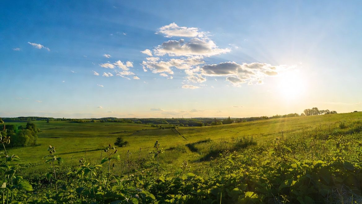 wiosna, majówka