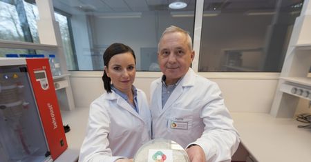 Naukowcy z Łodzi mogą zrewolucjonizować rynek żywności. Koniec z rakotwórczymi wędlinami i importowaną soją